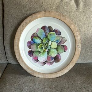 Colorful Succulent Wall Art